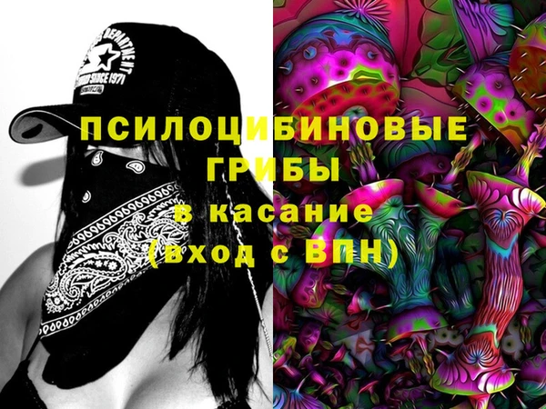 Альфа ПВП Богородицк