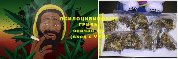 соль курить ск Богородск