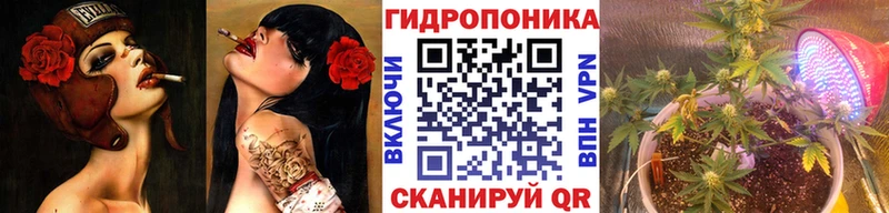 blacksprut как зайти  Кондрово  Шишки марихуана VHQ 